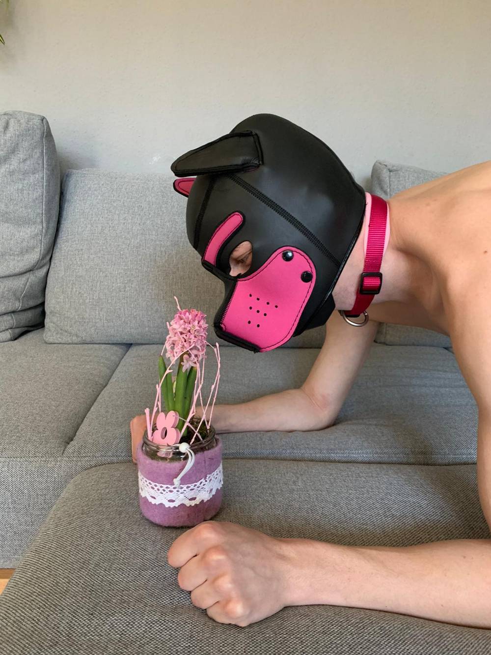 Pup Né OnlyFans – free nudes, naked, leaked