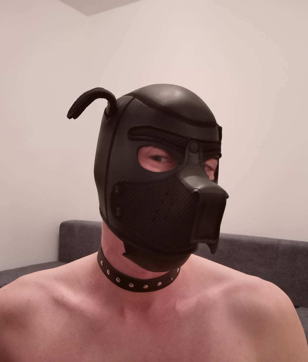 _SubDog_ OnlyFans – free nudes, naked, leaked