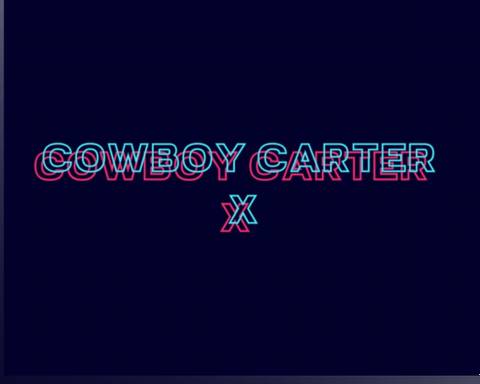 CarterX