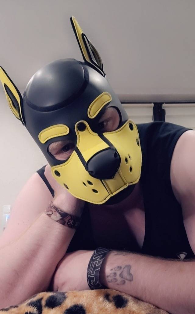 RoxThePup