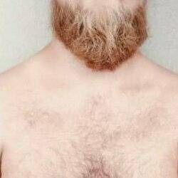 Crisbeard