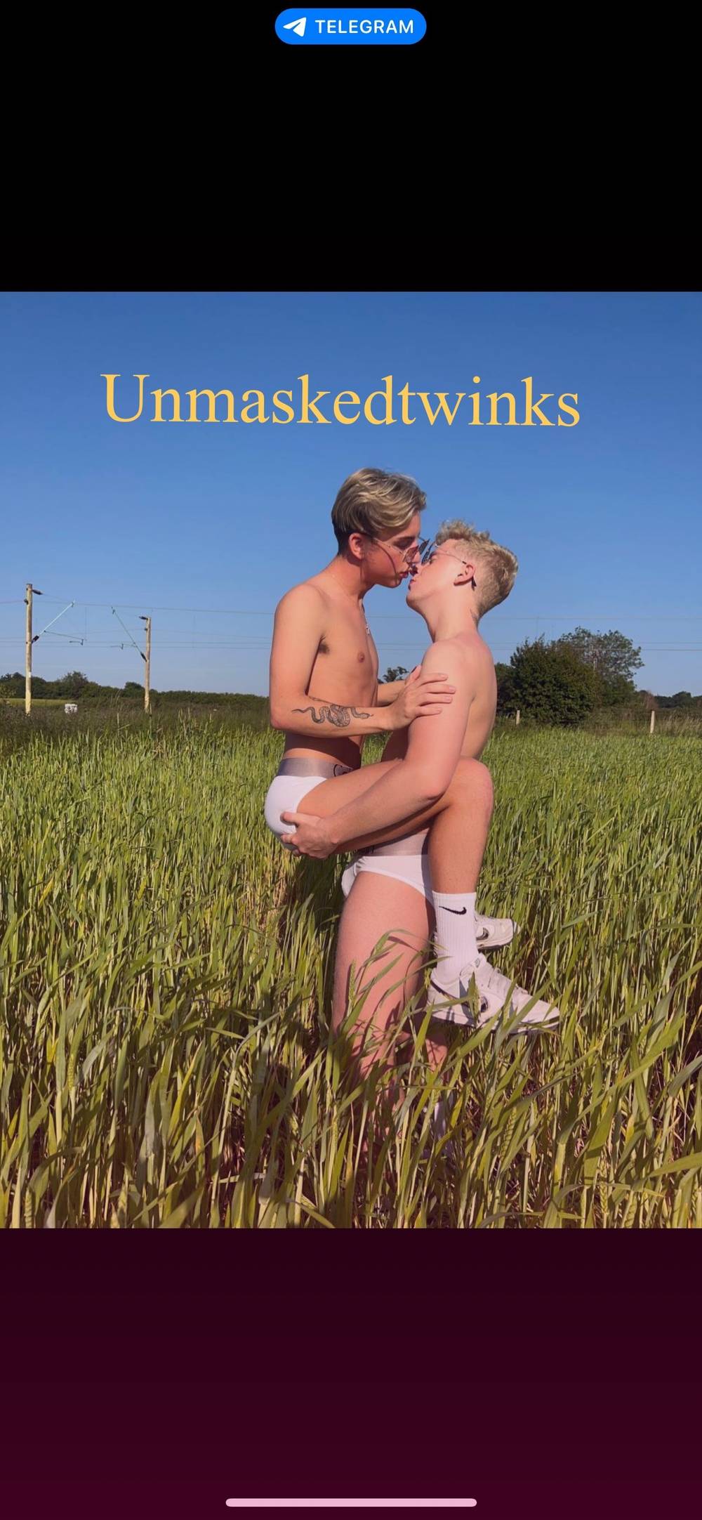 Unmaskedtwinks